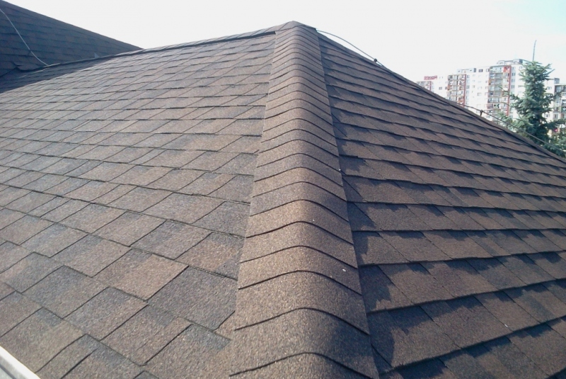 Cambridge Xpress (53) Jesenná hnedá -rekonštrukcia strechy